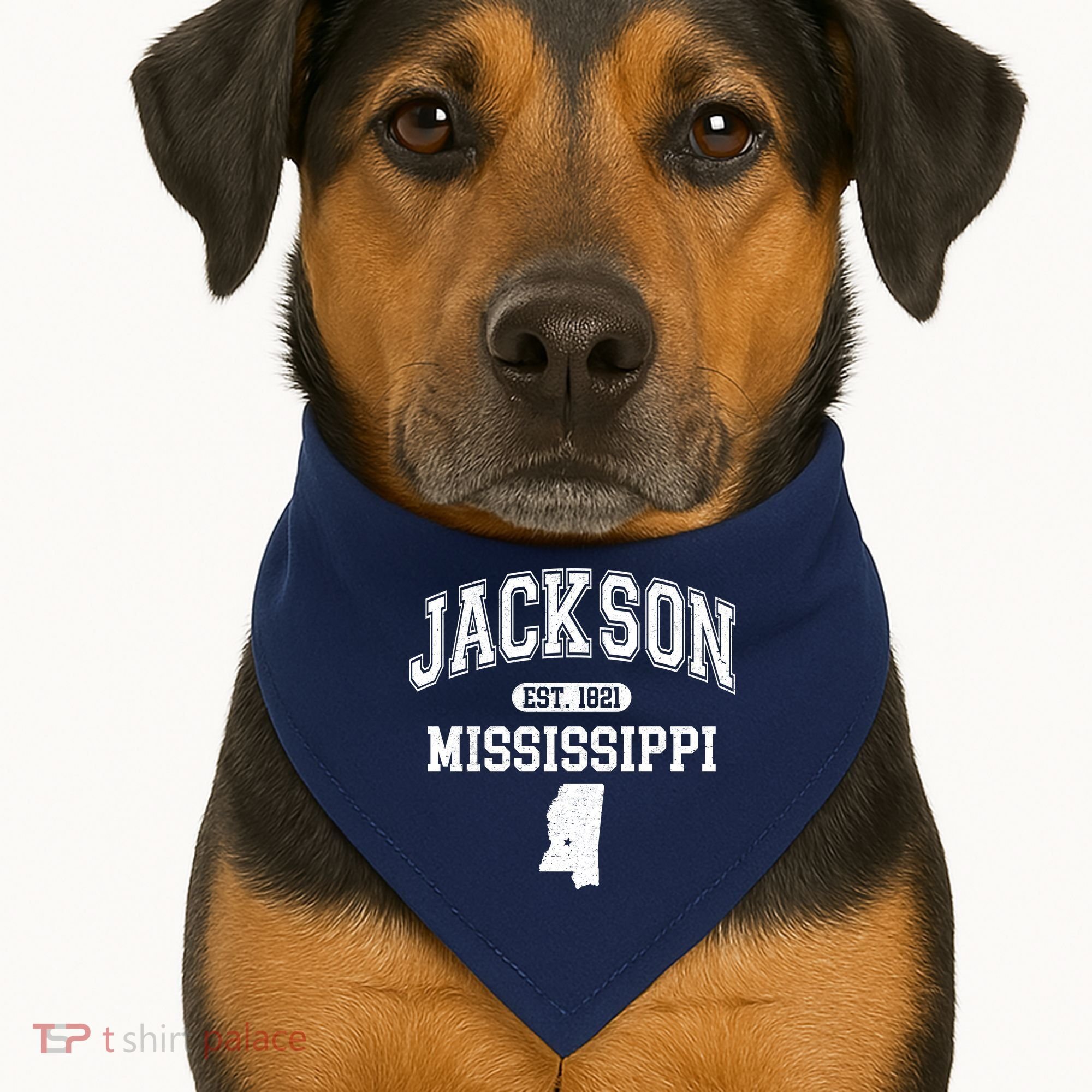Jackson Mississippi Est 1821 Varsity USA-Made Doggie Bandana
