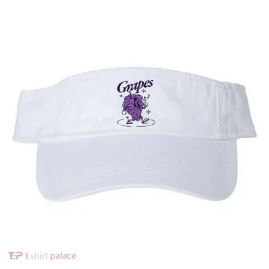 Visor