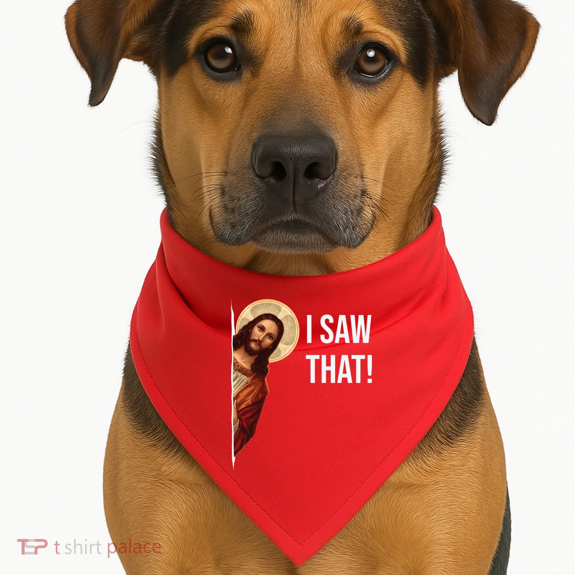 Jesus Meme I Saw That USA-Made Doggie Bandana