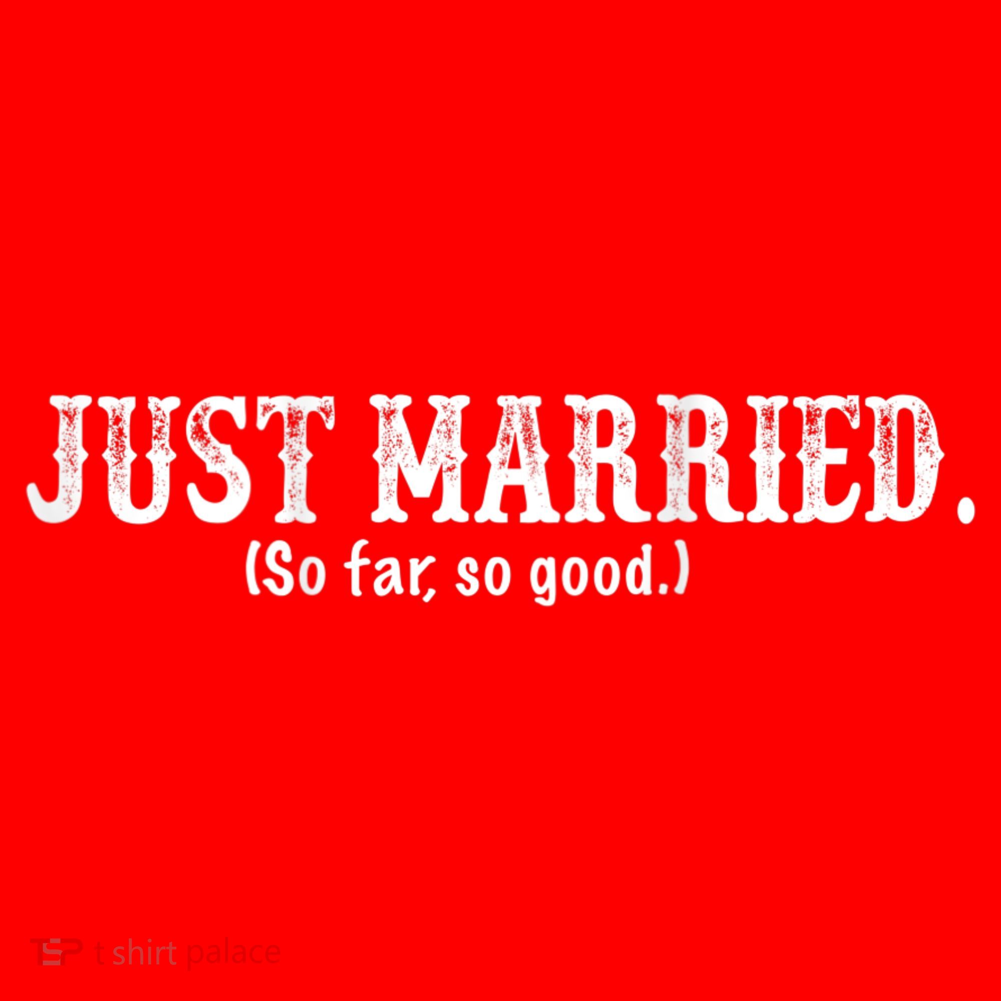Just Married So Far So Good Funny Bride Groom On Back Santa Hat