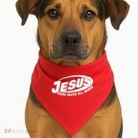 Jesus Name Above All Names Sports Style Logo USA-Made Doggie Bandana thumb 1