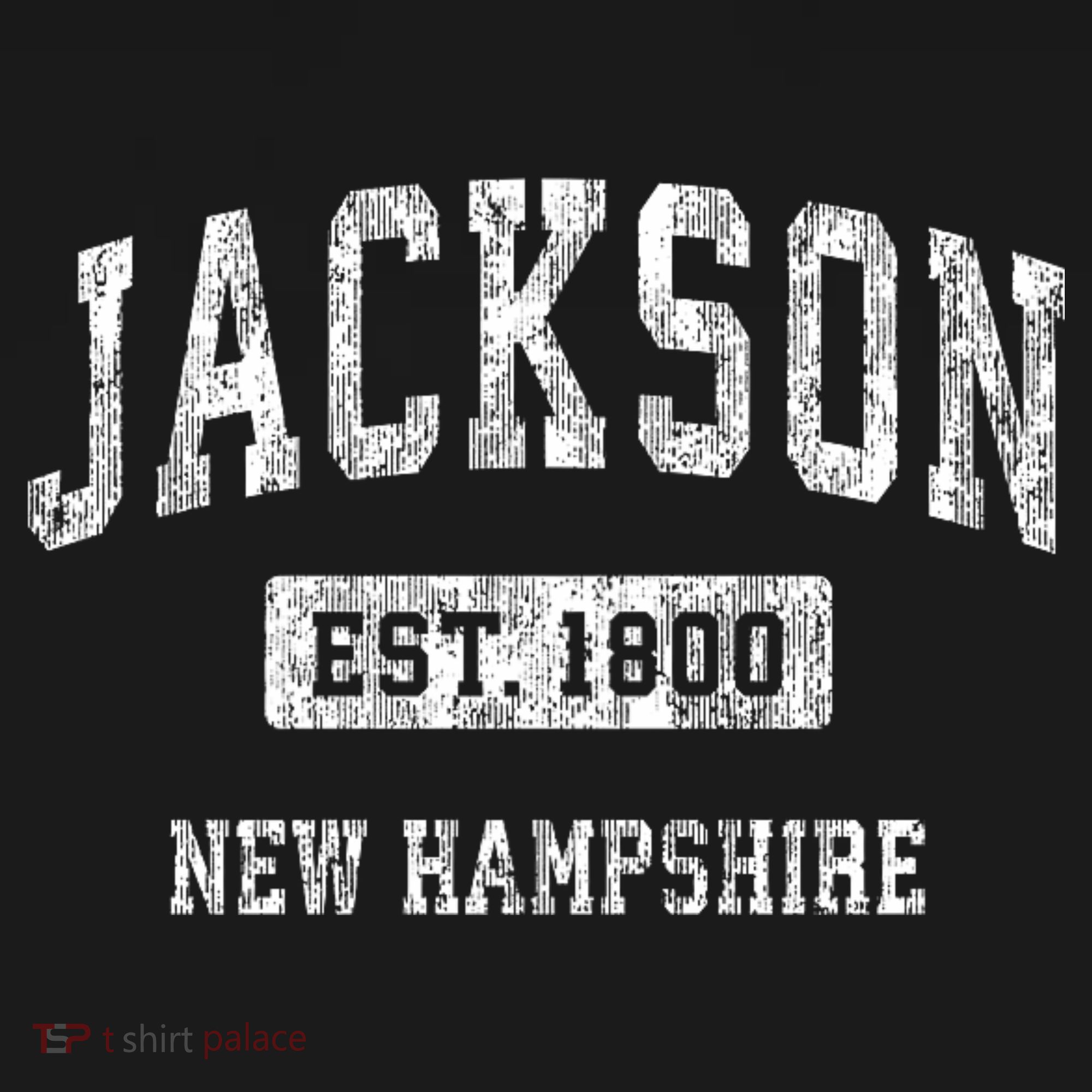 Jackson New Hampshire Nh Vintage Sports Established T-Shirt