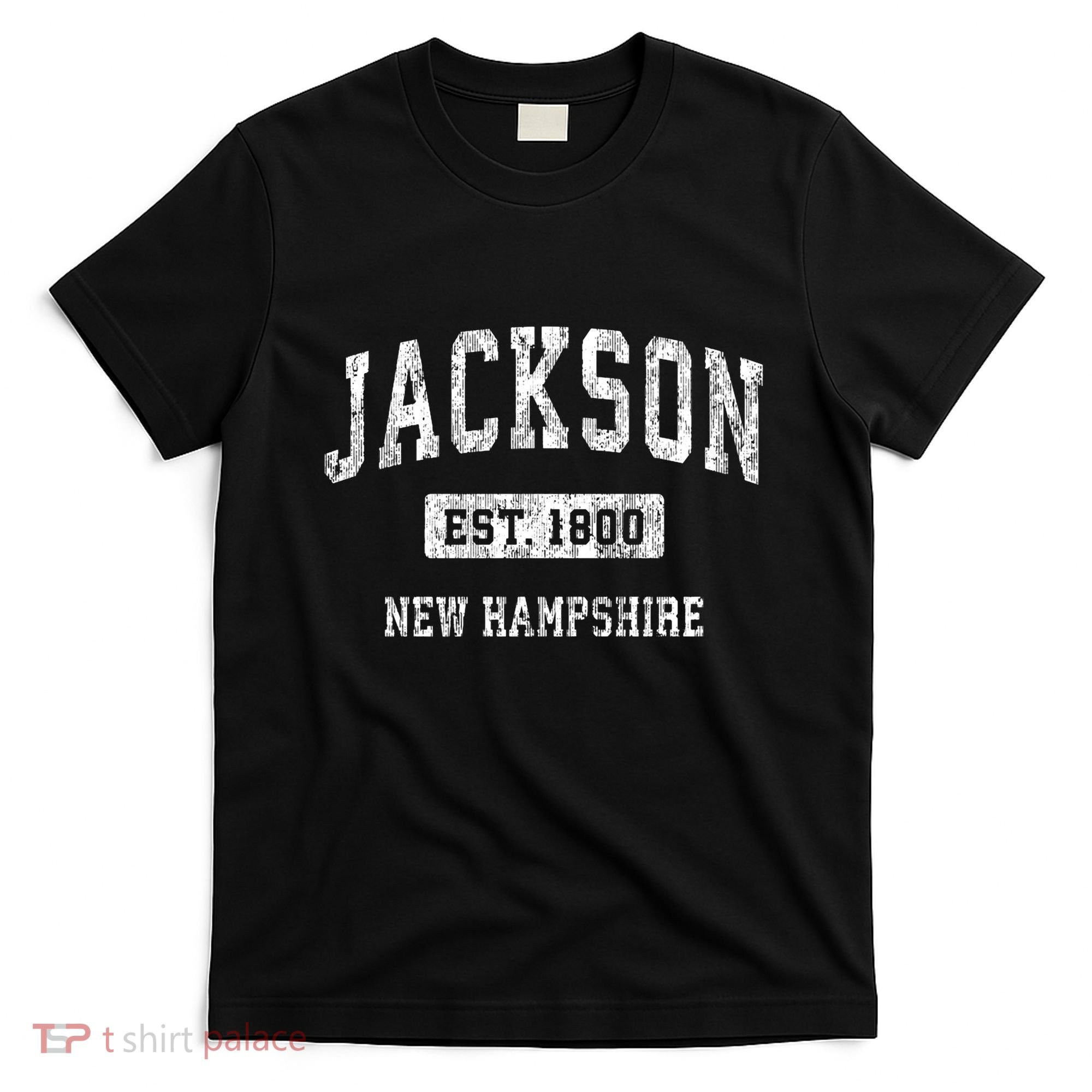 Jackson New Hampshire Nh Vintage Sports Established T-Shirt