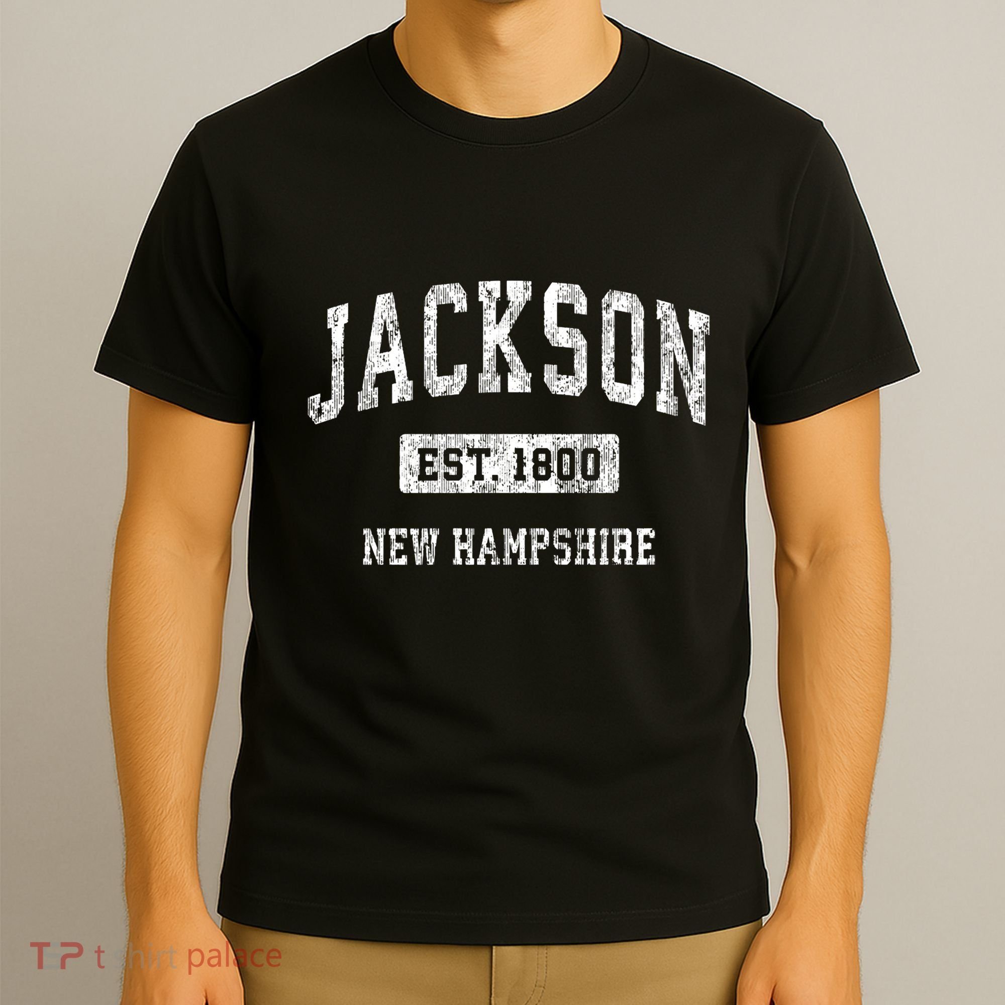 Jackson New Hampshire Nh Vintage Sports Established T-Shirt