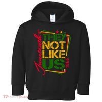 Juneteenth Not Like Us Not Like Us African American Freedom 1865 Toddler Hoodie thumb 0