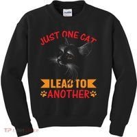 Just One Cat Lead To Another Cat Lover Cat Day Kids Sweatshirt thumb 0
