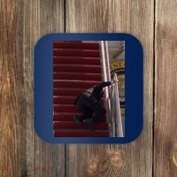 Joe Biden Big Fall Stumbling Coaster thumb 0