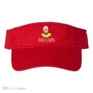 Visor