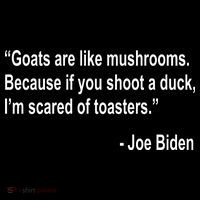 Joe Biden Funny Quote Long Sleeve Shirt thumb 2