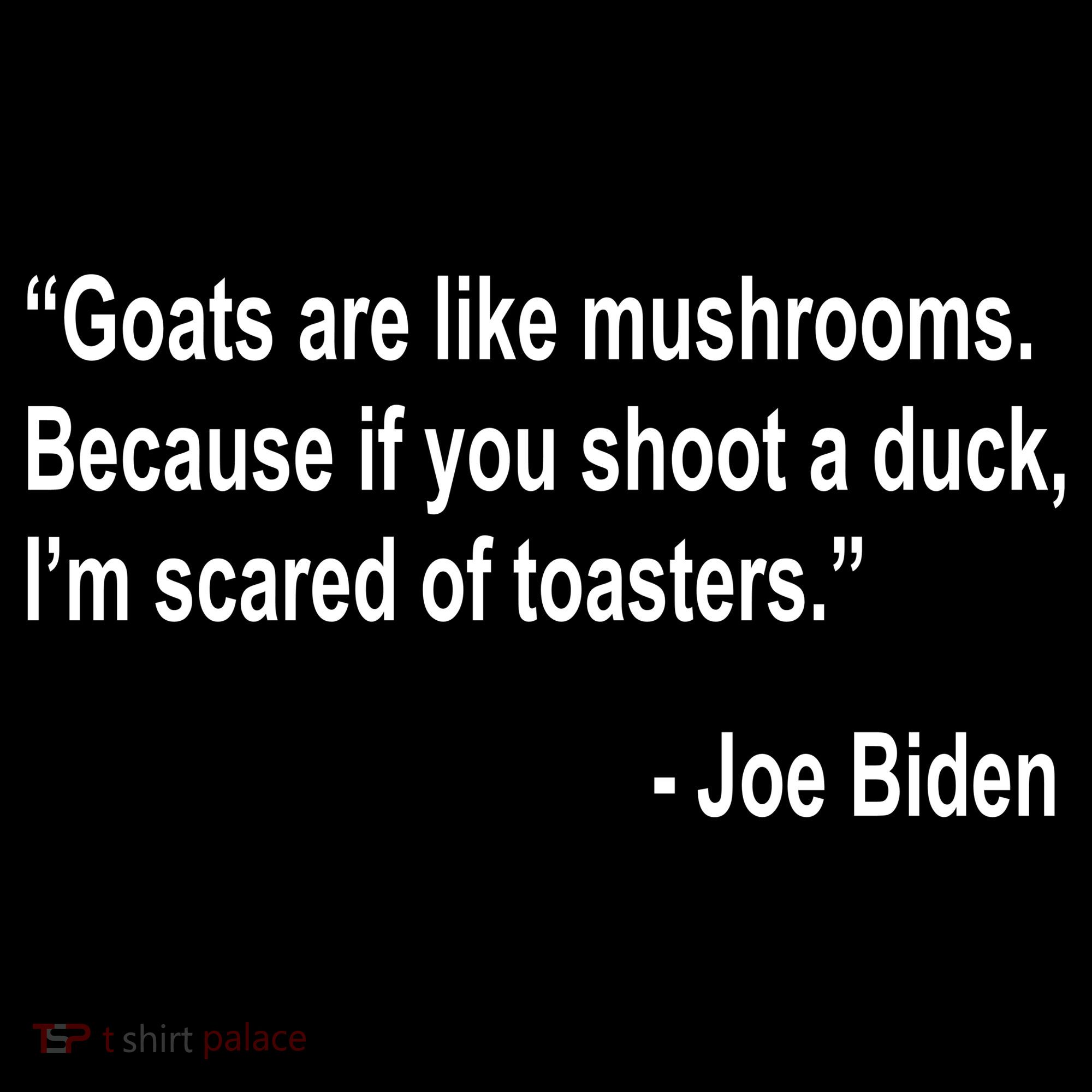 Joe Biden Funny Quote T-Shirt