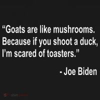 Joe Biden Funny Quote Button thumb 1