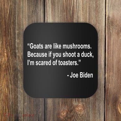 Joe Biden Funny Quote Coaster