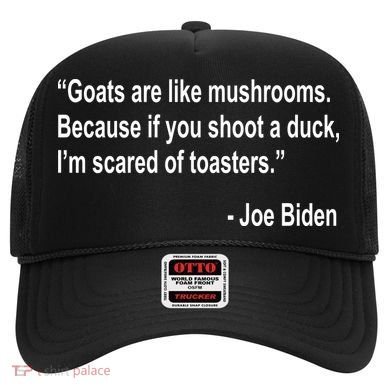 Joe Biden Funny Quote Hat