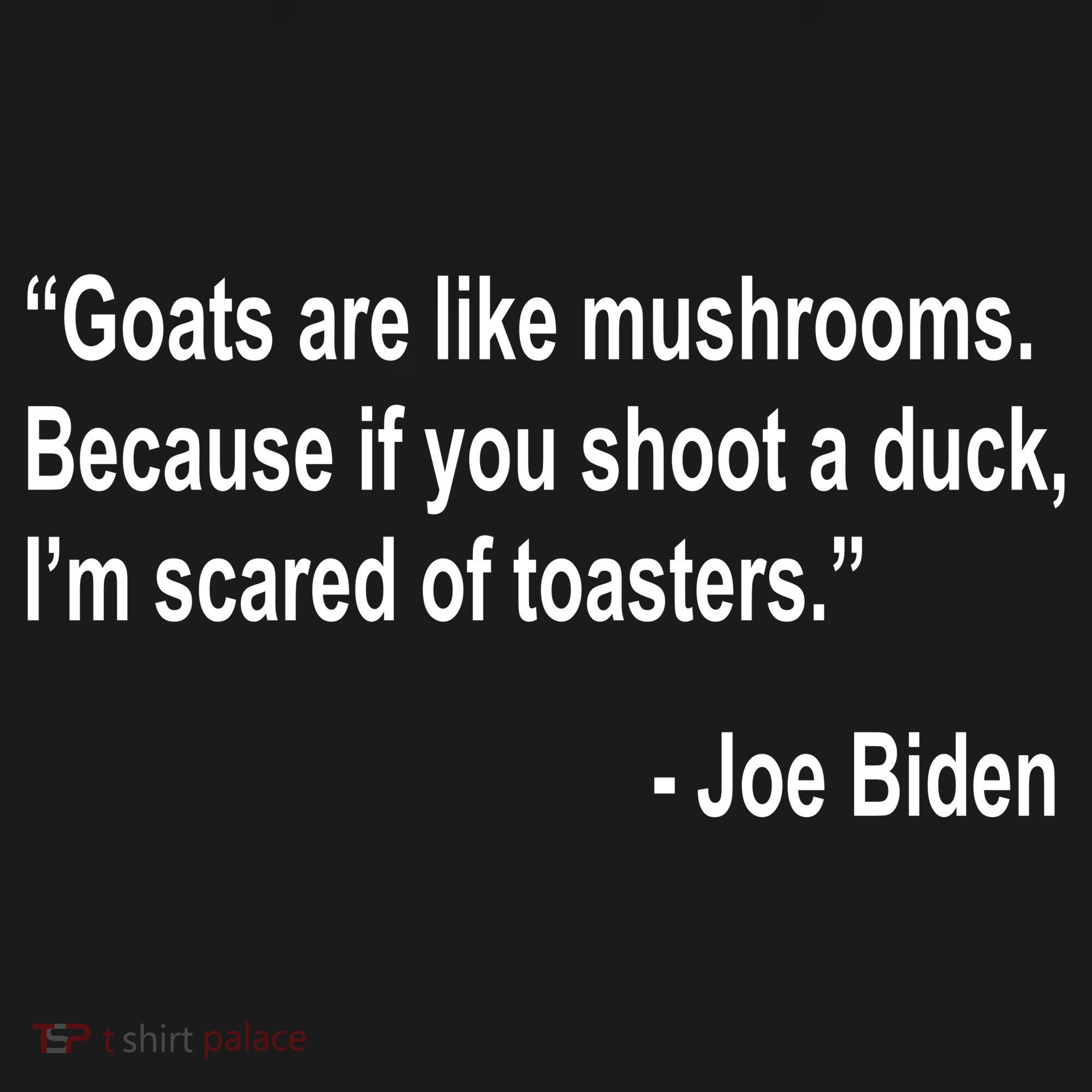 Joe Biden Funny Quote Visor