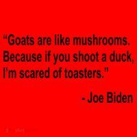 Joe Biden Funny Quote Santa Hat thumb 1