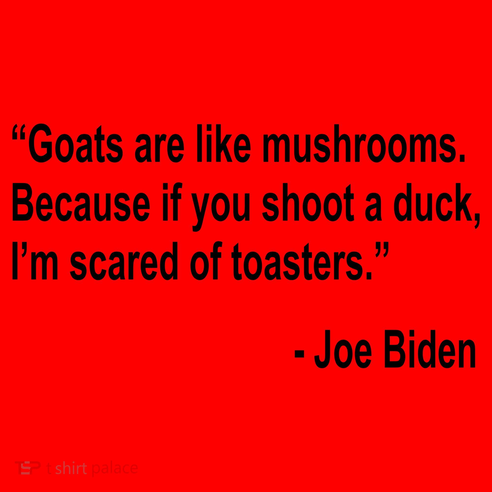 Joe Biden Funny Quote Santa Hat
