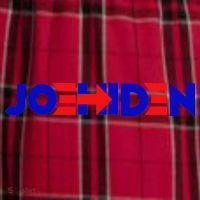 Joe Hiden Funny Anti Binden Women's Flannel Plaid Pajama Pants thumb 2