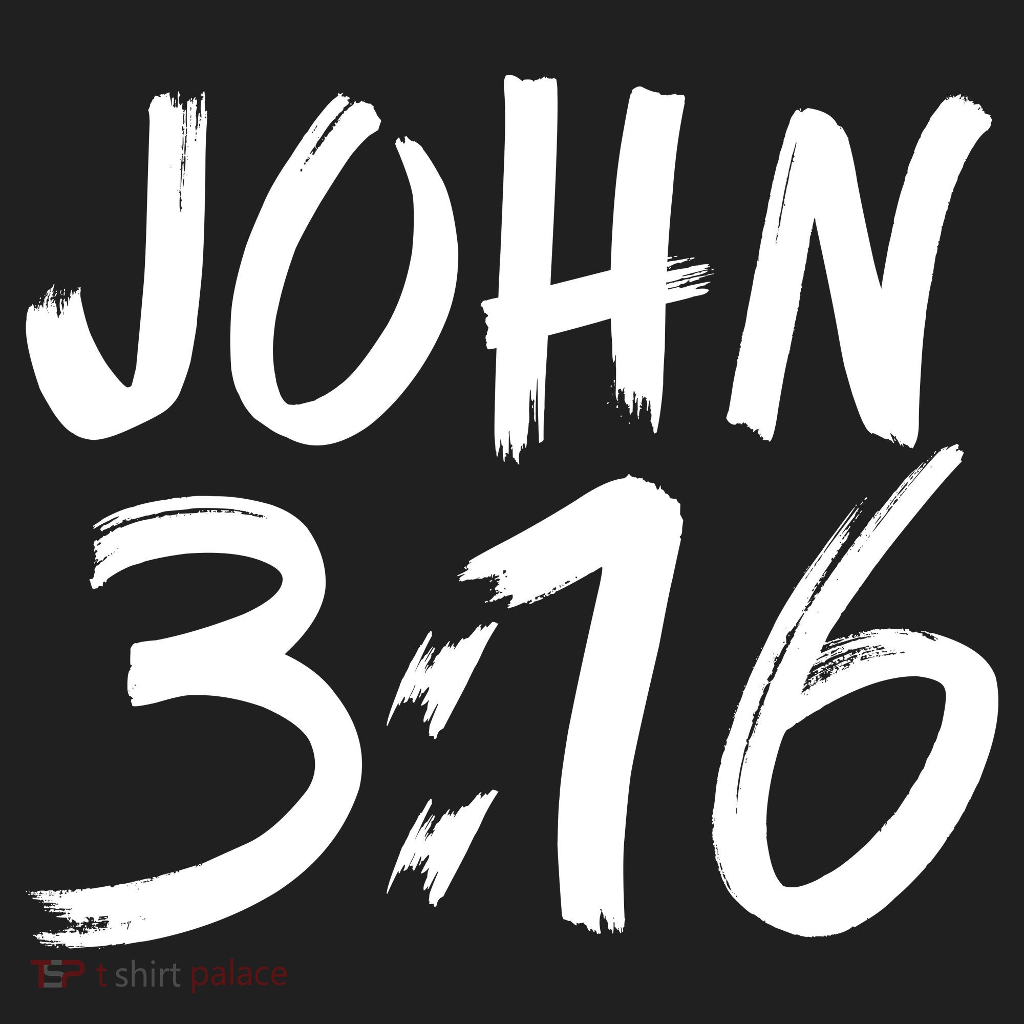 John 3:16 Beanie