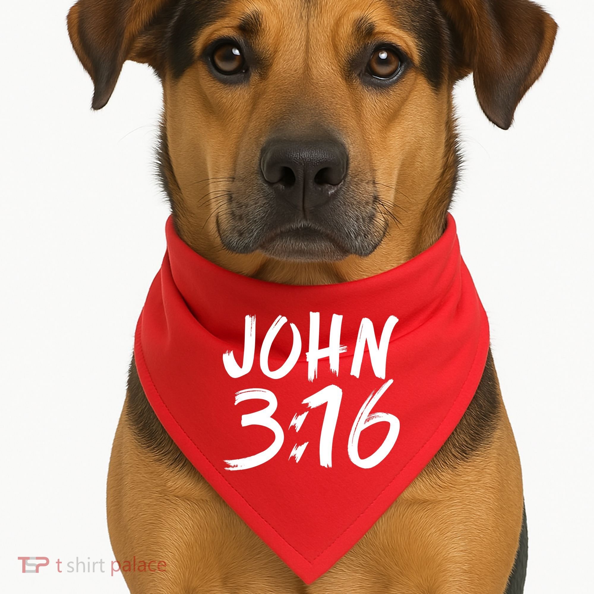 John 3:16 USA-Made Doggie Bandana