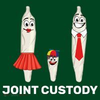 Joint Custody Visor thumb 3