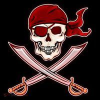 Jolly Roger Pirate Skull Flag Logo Women's Hoodie thumb 2