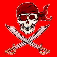 Jolly Roger Pirate Skull Flag Logo Santa Hat thumb 1