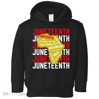 Juneteeth Pride Freedom Black History Toddler Hoodie