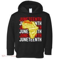 Juneteeth Pride Freedom Black History Toddler Hoodie thumb 0