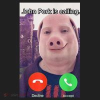 John Pork Is Calling Funny Answer Call Phone Women's Sweatshirt thumb 2