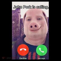 John Pork Is Calling Funny Answer Call Phone Ornament thumb 1