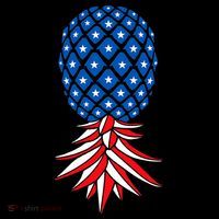July Patriotic Red White Blue Upside Down Pineapple Swinger Women's Hoodie thumb 2