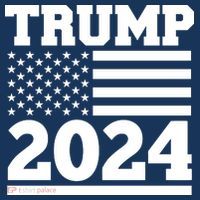 Jumbo Print Trump 2024 Usa Flag Women's Hoodie thumb 2