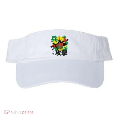 Visor
