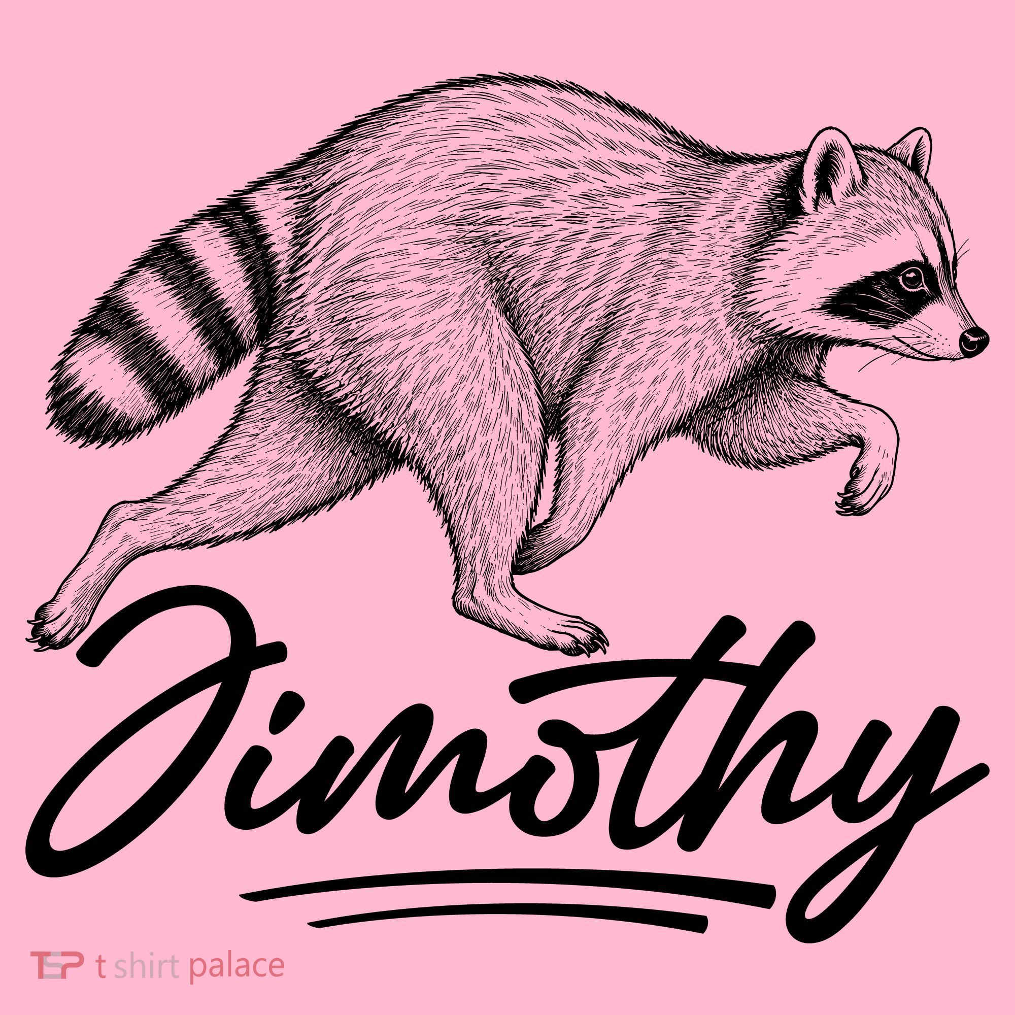 Jimothy Raccoon Coaster