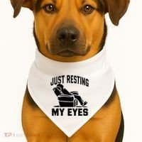 Just Resting My Eyes Dad Recliner Fathers Im Not Sleeping USA-Made Doggie Bandana thumb 1