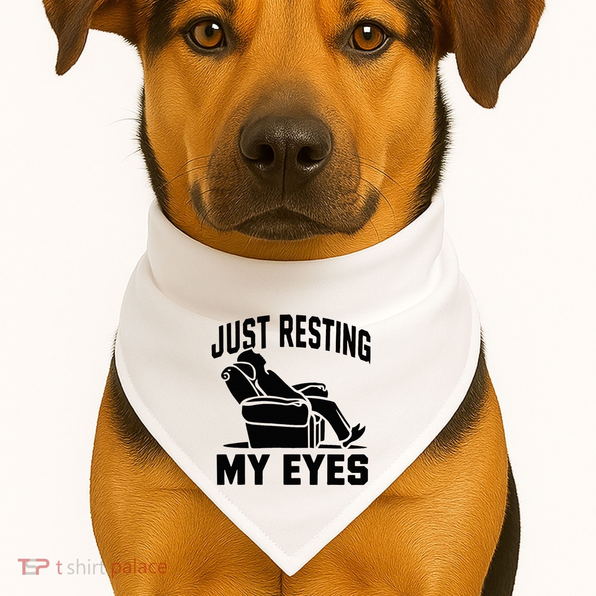 Just Resting My Eyes Dad Recliner Fathers Im Not Sleeping USA-Made Doggie Bandana