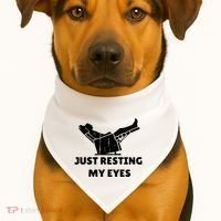 Just Resting My Eyes Funny Dad Recliner USA-Made Doggie Bandana thumb 1