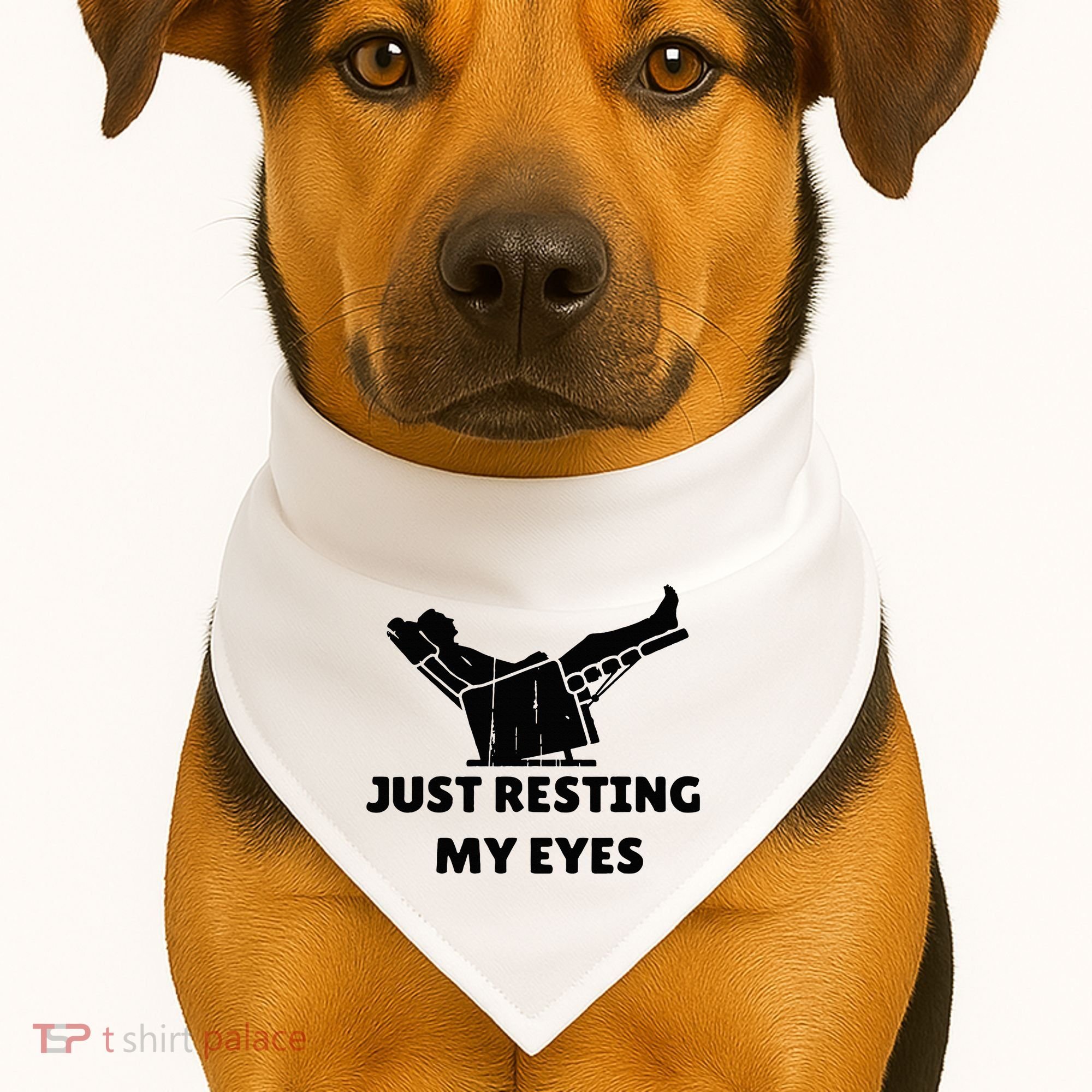 Just Resting My Eyes Funny Dad Recliner USA-Made Doggie Bandana