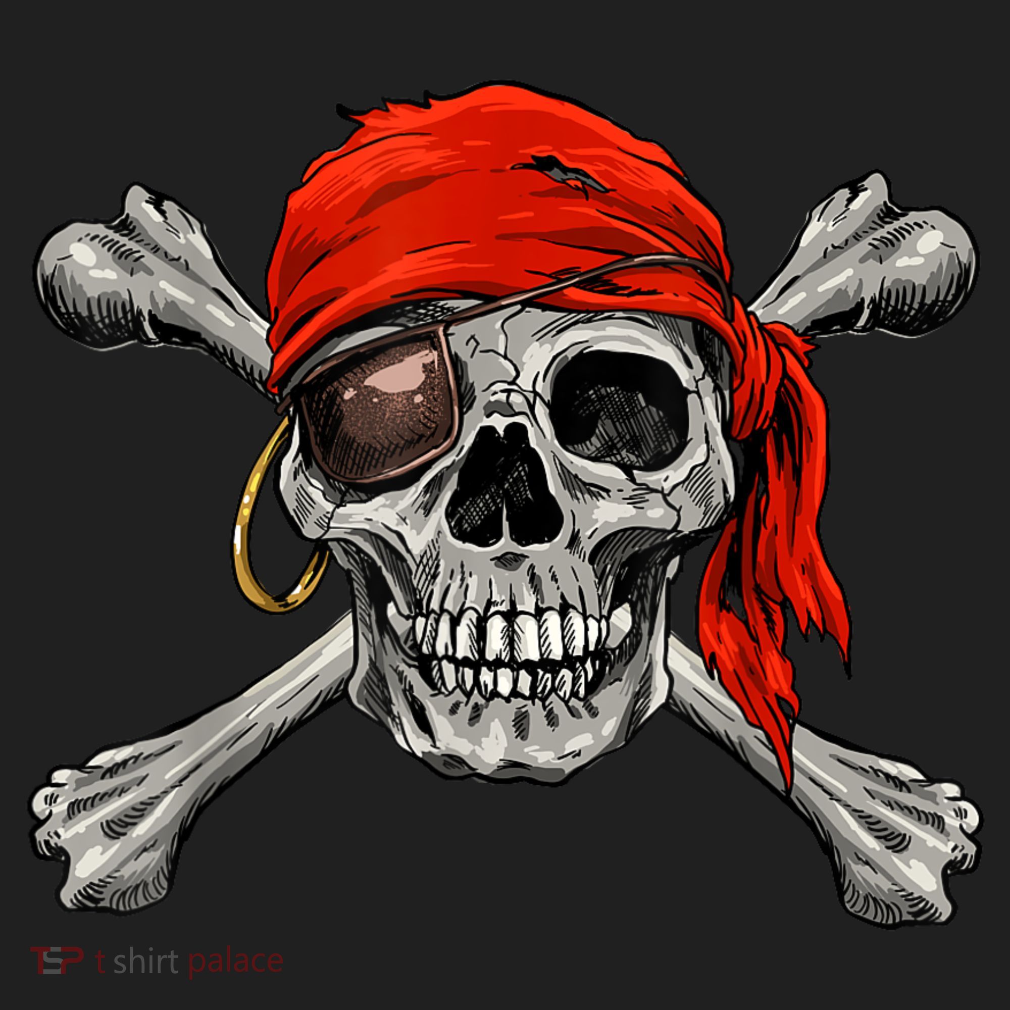 Jolly Roger Pirate Skull & Crossbones Halloween Hat