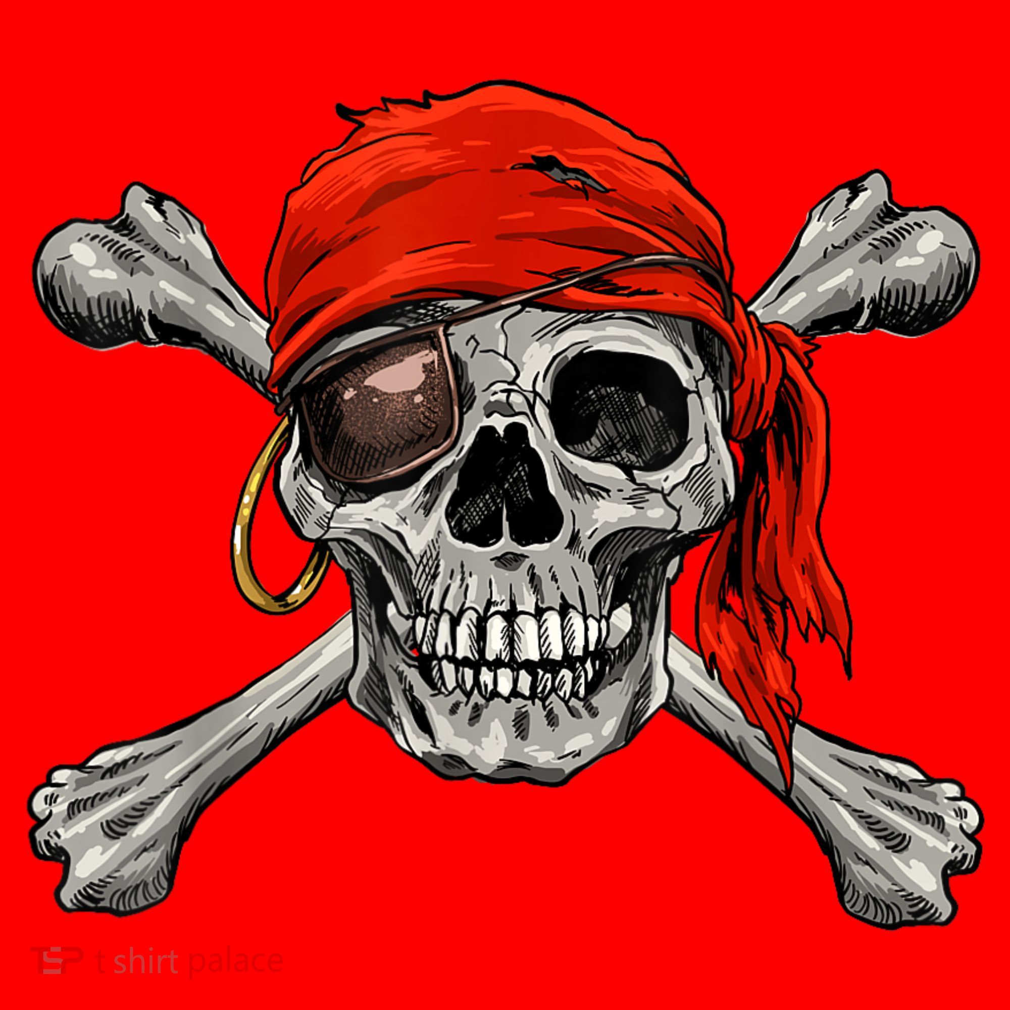 Jolly Roger Pirate Skull & Crossbones Halloween Santa Hat