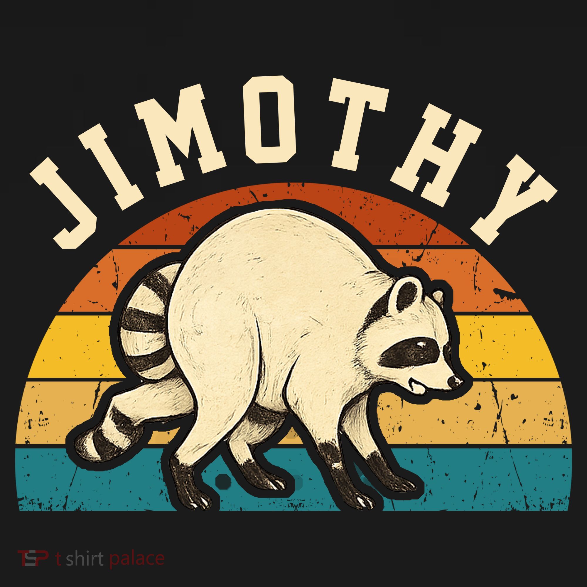 Jimothy Raccoon Seattle Feral Funny Trash Wildlife Women's Hoodie