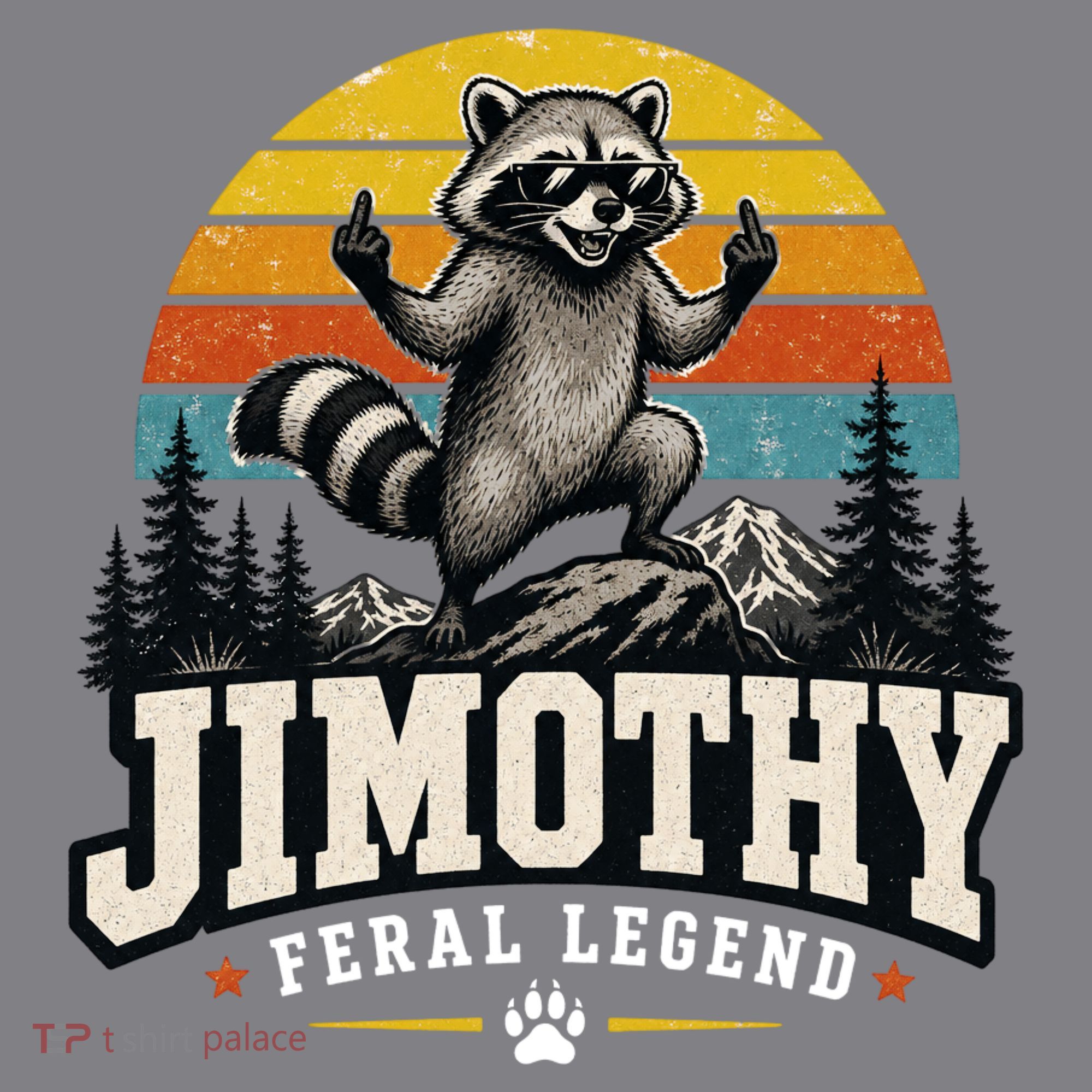 Jimothy Raccoon Seattle Feral Legend Meme Women's Hoodie