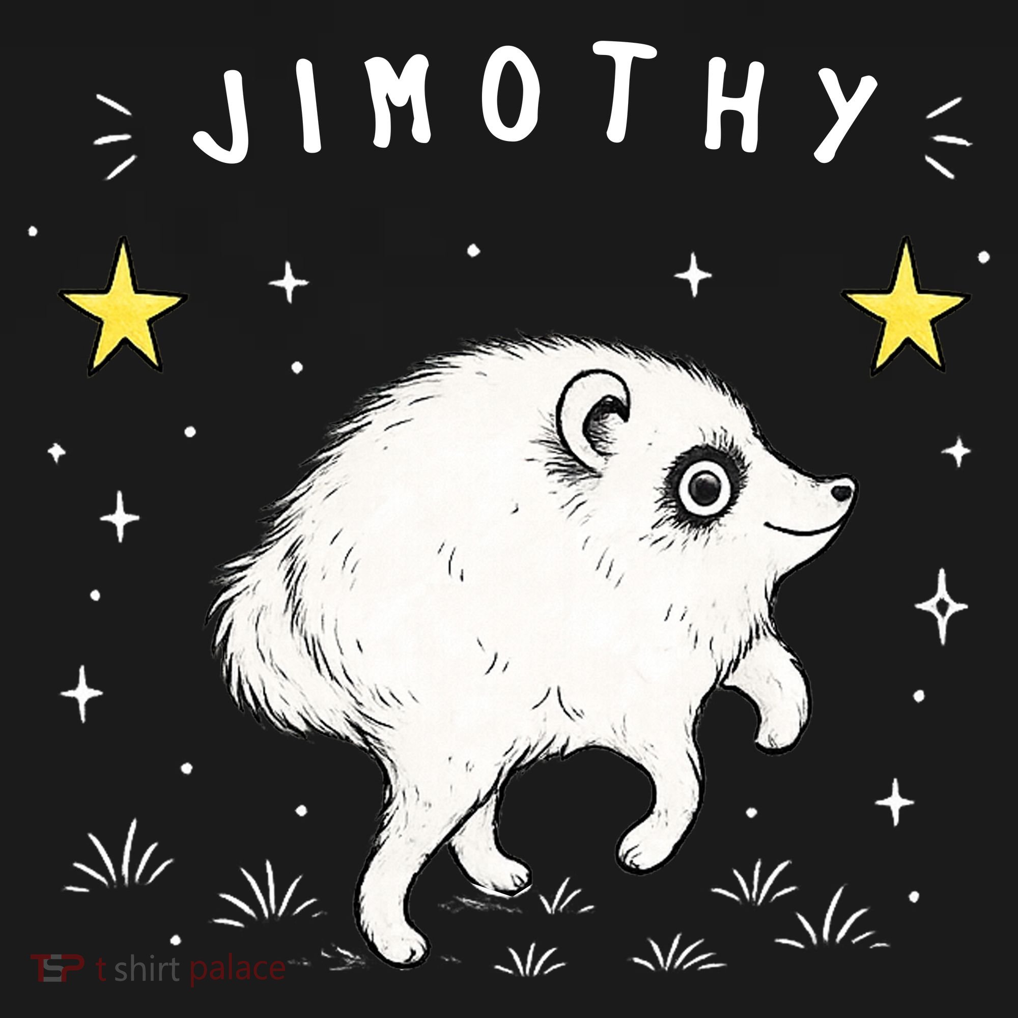 Jimothy Raccoon Viral Trend Apron