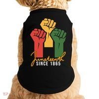 Juneteenth Since 1865 Doggie Tank thumb 0