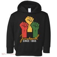 Juneteenth Since 1865 Toddler Hoodie thumb 0