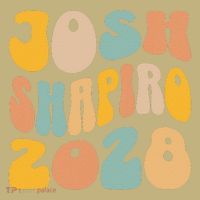 Josh Shaprio 2028 for President Resist Wavy Groovy Election Hoodie thumb 7