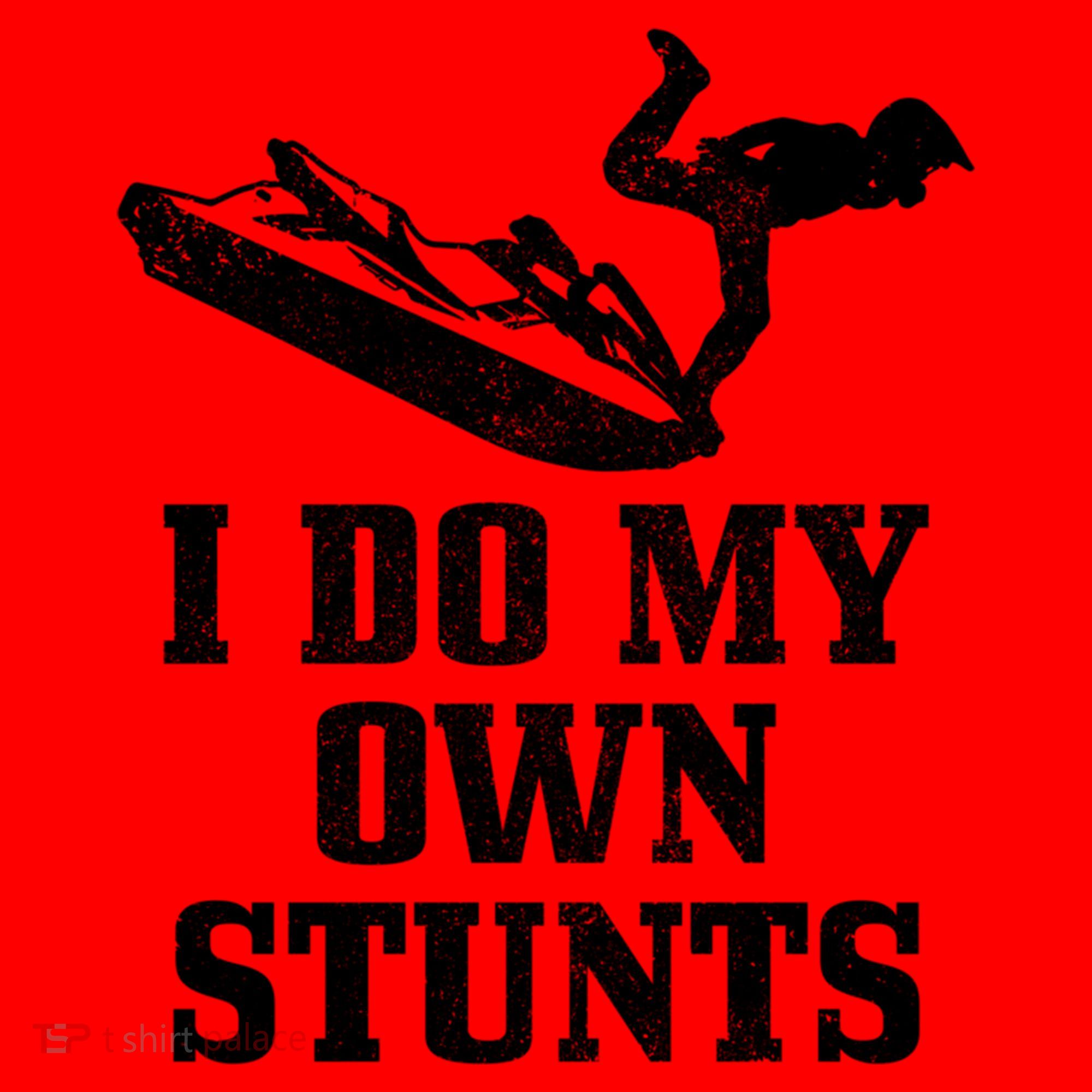 Jet Ski Do My Own Stunts Funny Jet Skiing Gift Santa Hat