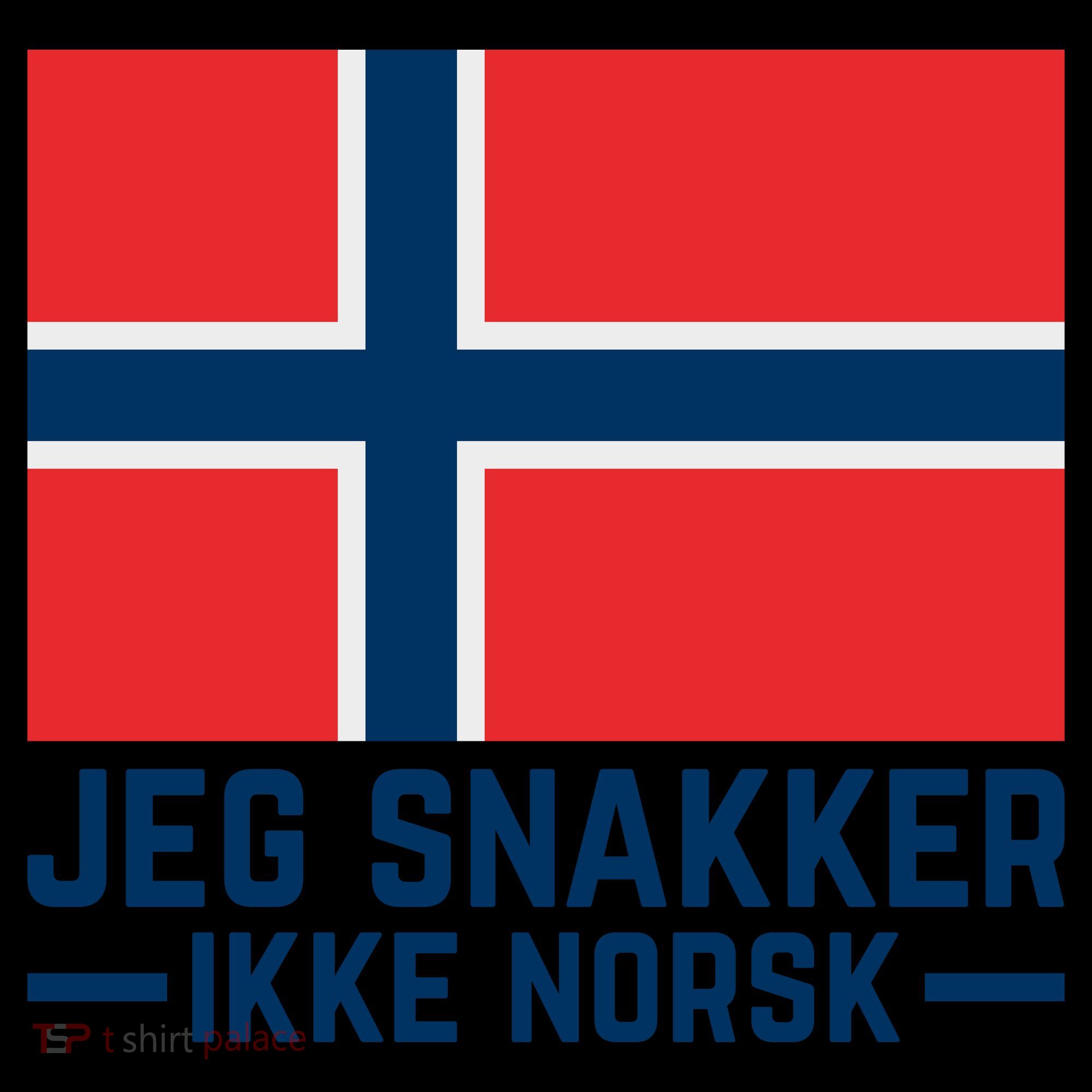 Jeg Snakker Ikke Norsk Norwegian Flag Coffee Mug