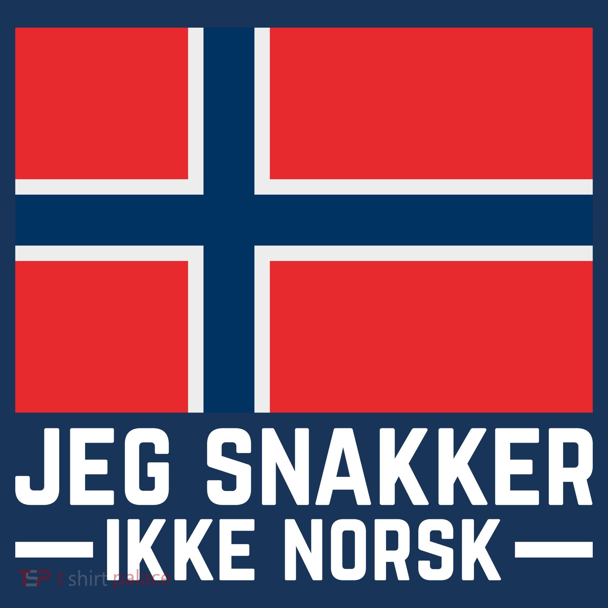 Jeg Snakker Ikke Norsk Norwegian Flag Sweatshirt