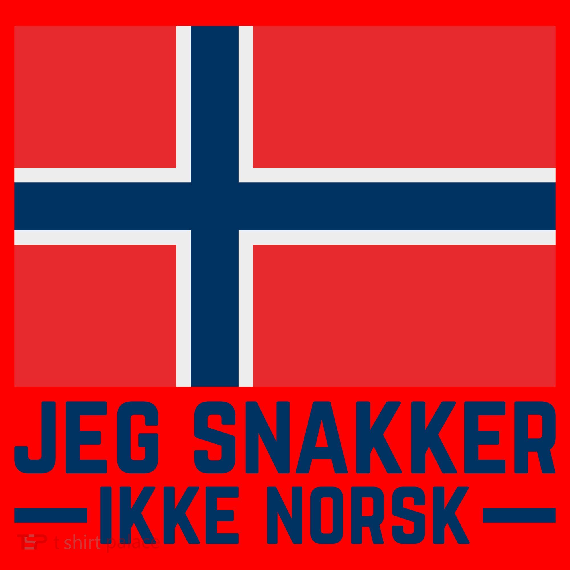 Jeg Snakker Ikke Norsk Norwegian Flag Santa Hat
